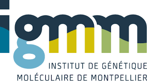 Institut de Génétique Moléculaire de Montpellier