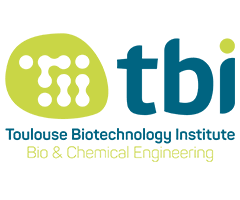 Toulouse Biotechnology Institute
